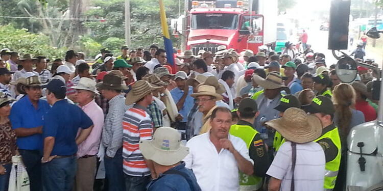 arroceros-Colprensa.jpg