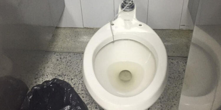 baño-terminal.jpg