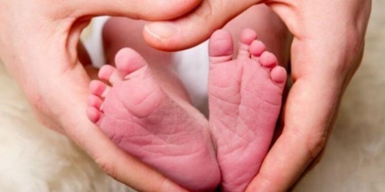 bebe_pies_ingimage_1423257972_1435843779_1461697702.jpg