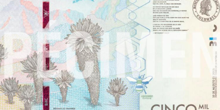 billetedecincomilpesos.jpg