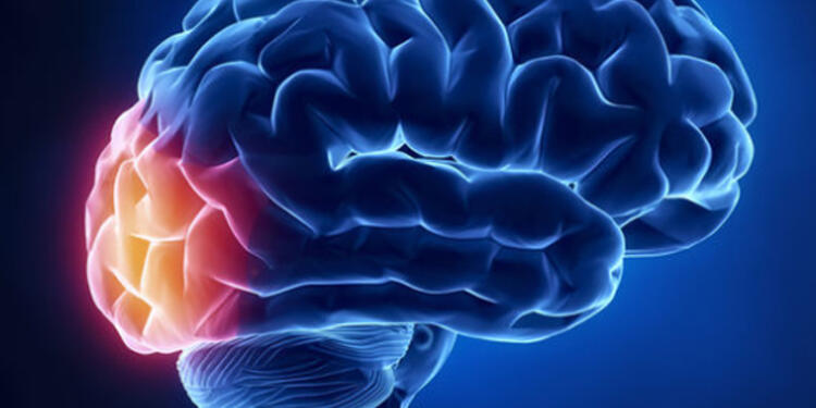 cerebroquiz1.jpg