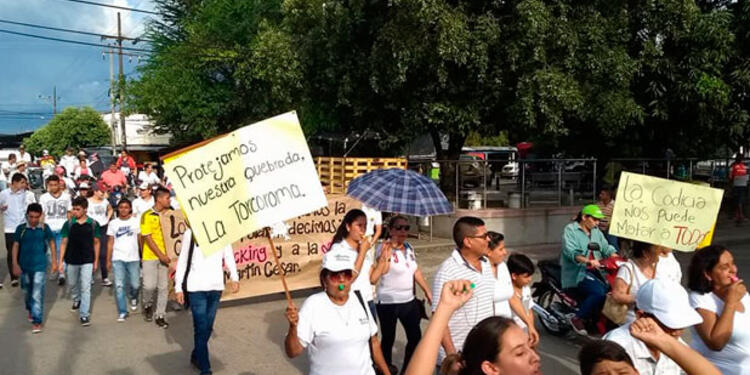 consulta.jpg
