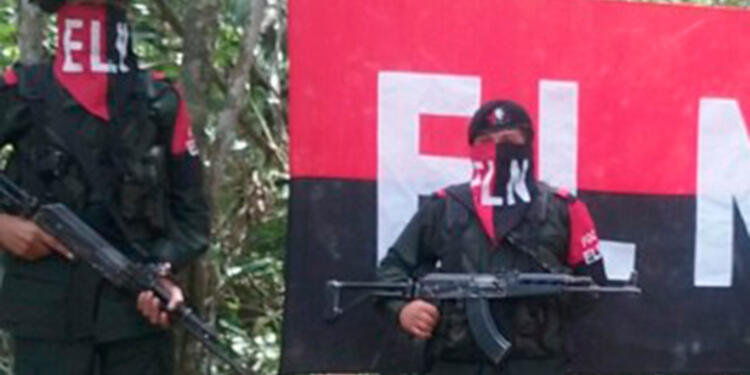 eln1.jpg