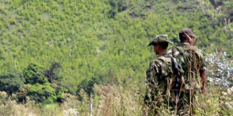 farc-laf_1470159488_1470336461.m_1470159488_1470336461.jpg