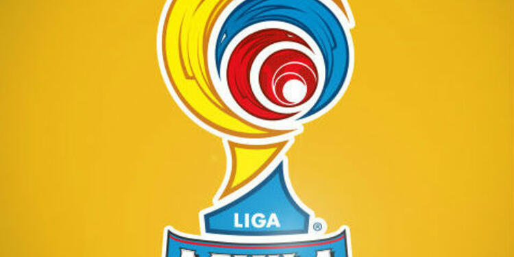 logo-liga-481x4451.jpg