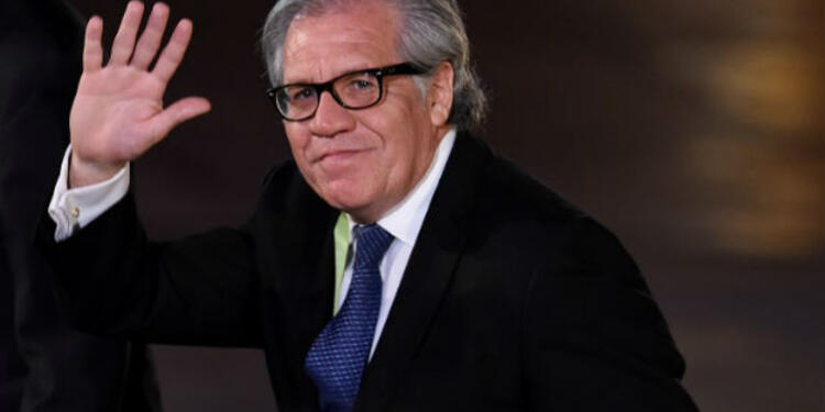 luisalmagroafp1.jpg