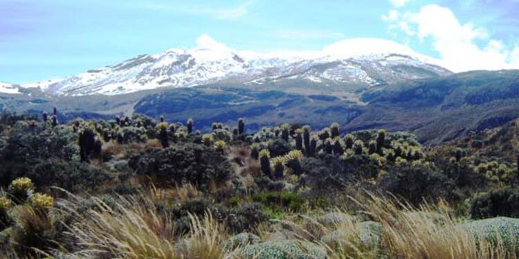 nevado.jpg