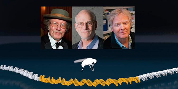 nobeldemedicina.jpg
