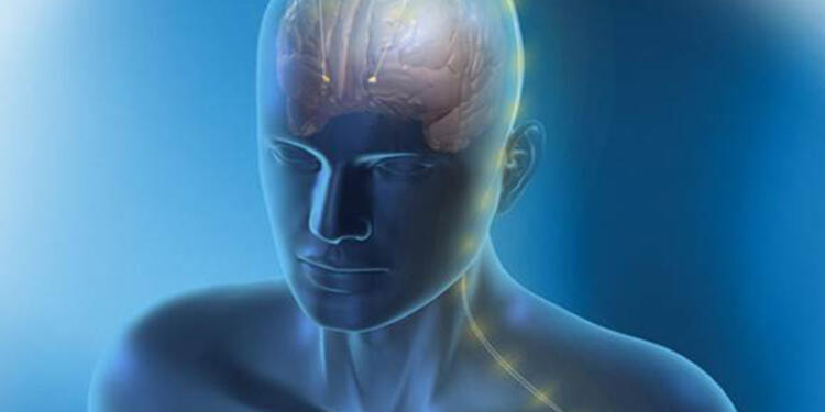 parkinsonreferencia1.jpg