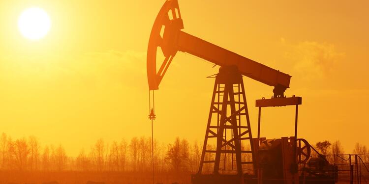petroleoingimagelafm1.jpg