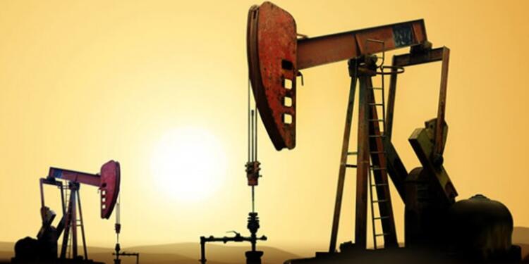 petroleolafm1.jpg