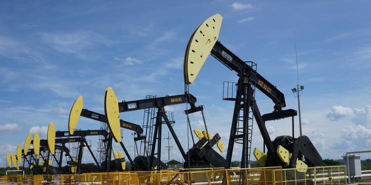 petroleolafm11.jpg