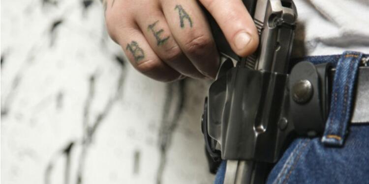 pistola_Ingimage1.jpg