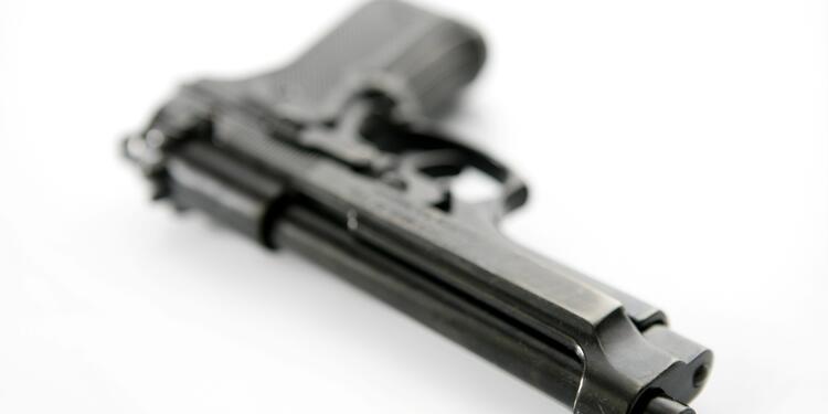 pistolaingimage1.jpg