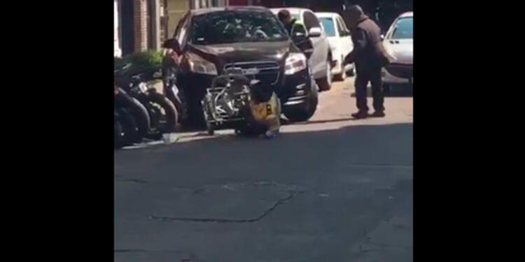 policiamexicana.jpg