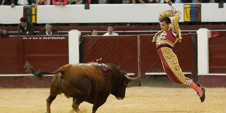 Corridas de toros en Colombia Corridas de toros en Colombia