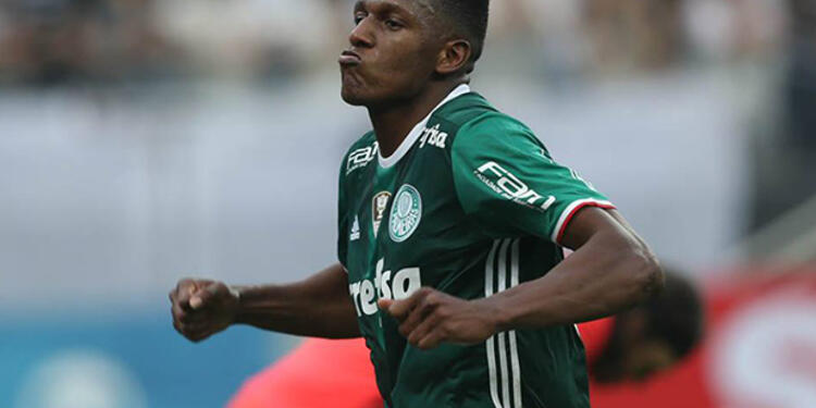 yerryminapalmeiras-1.jpg