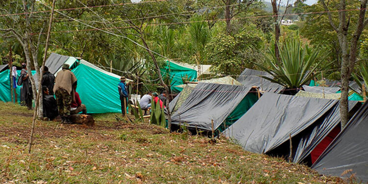 Zonas veredales donde permanecen exguerrilleros de las Farc. Zonas veredales donde permanecen exguerrilleros de las Farc.