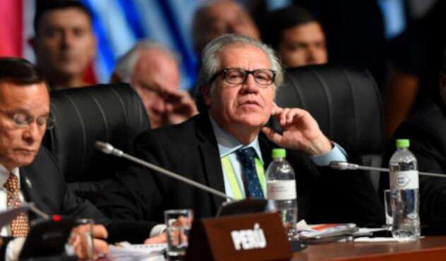 Luis Almagro, secretario general de la OEA / AFP Luis Almagro, secretario general de la OEA / AFP