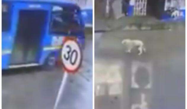 Imagen del incidente / Tomada de video difundido en redes Imagen del incidente / Tomada de video difundido en redes