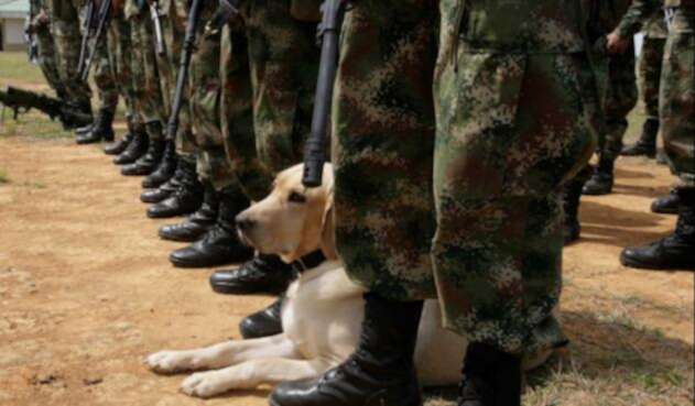 Militares protegerán elecciones en el Catatumbo Soldados de Colombia