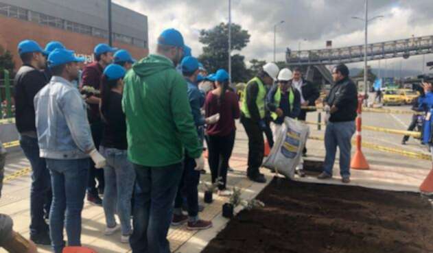150 voluntarios pertenecientes a la Comunidad Terranum, que reúne a más de 20 empresas del sector, le dieron vida al eje de la calle 26 150 voluntarios pertenecientes a la Comunidad Terranum, que reúne a más de 20 empresas del sector, le dieron vida al eje de la calle 26
