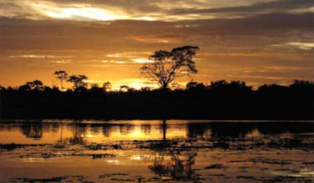 La Reserva Natural Irapai, ubicada en el municipio de Puerto Alegría sobre el Río Amazonas, a 25 kilómetros de Leticia