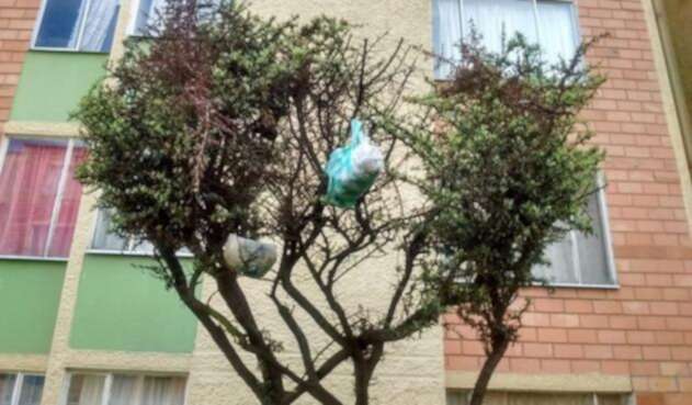 Basura en conjunto en Kennedy