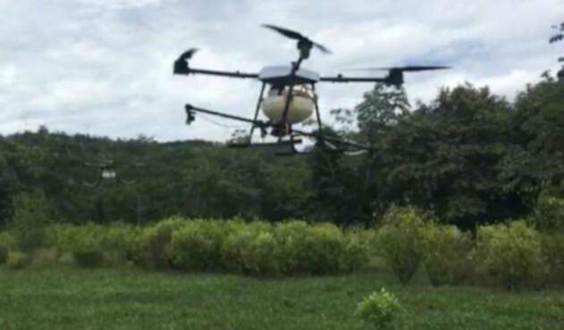Con drones será la fumigación de cultivos ilícitos Con drones será la fumigación de cultivos ilícitos