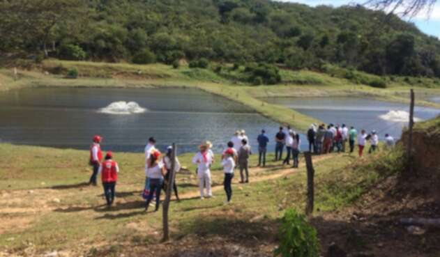 Excombatientes de las Farc