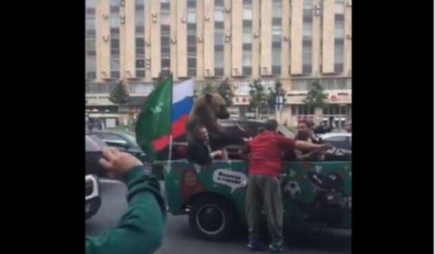 Oso en Rusia