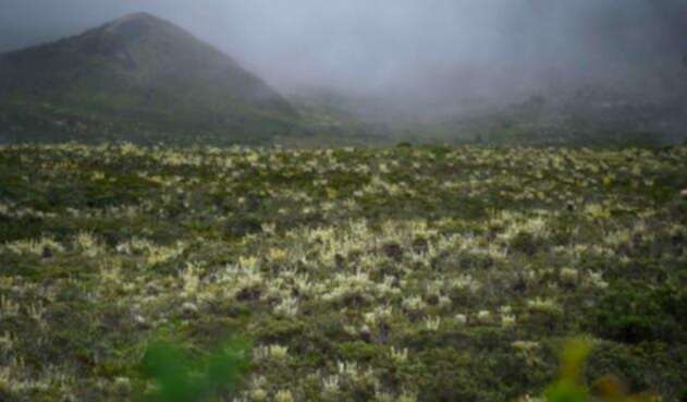 El Páramo de Sumapaz, en Cundinamarca