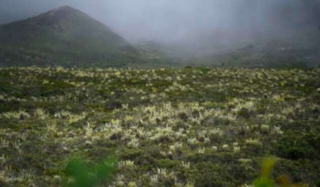 El Páramo de Sumapaz, en Cundinamarca