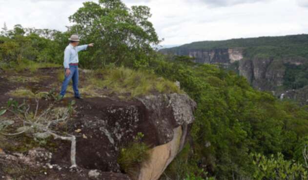 Santos señalando una zona de cultivos ilícitos