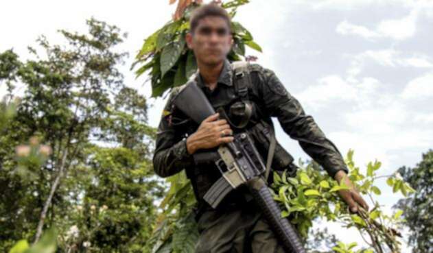 La Policía continua su lucha contra el narcotráfico, liderando la erradicación de cultivos de coca