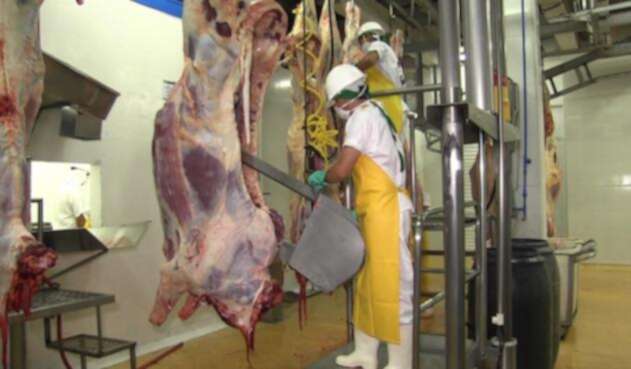 Tratamiento de la carne