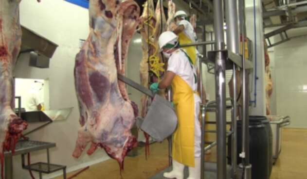Tratamiento de la carne