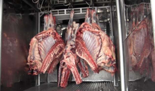 La carne en las plantas de sacrificio.