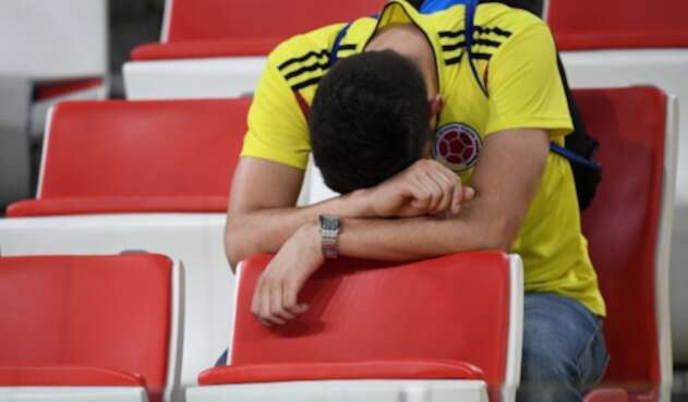 Un hincha de la Selección Colombia