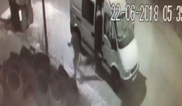 Perro abandonado en medio de la calle