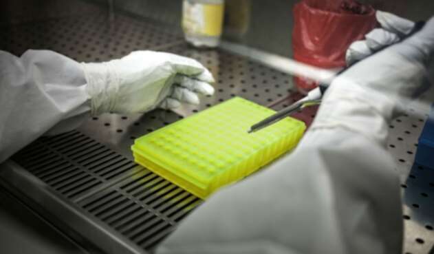 Laboratorio coronavirus