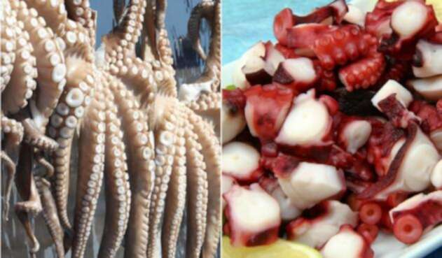 Pulpo Rabiot