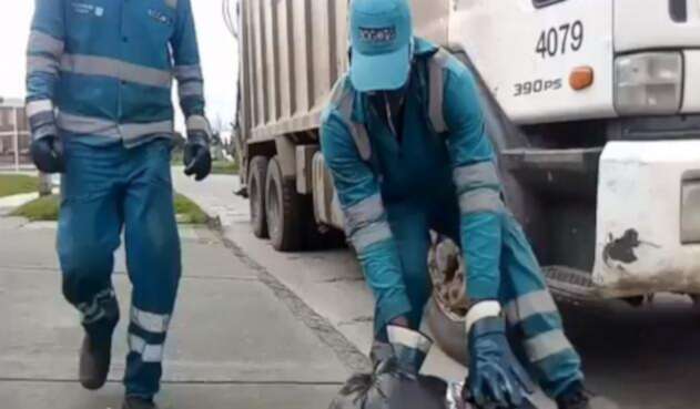 Hasta julio tienen plazo las empresas para obtener su propia flota de buses compactadores