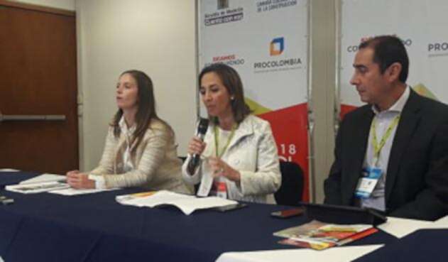 Presidente de Camacol, Sandra Forero.