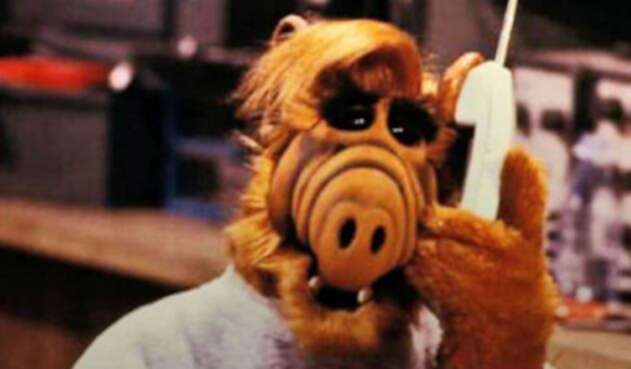 alf casino