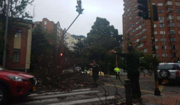 Árbol caído en Bogotá