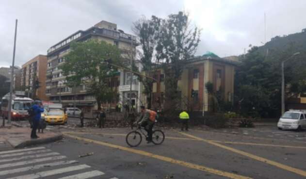 Árboles cayeron en la localidad de Chapinero debido a los fuertes vientos