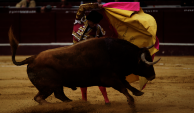 Corrida de toros