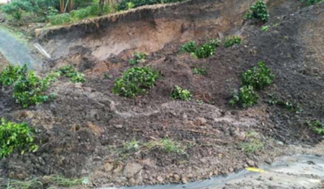 Las lluvias generan derrumbes en Risaralda