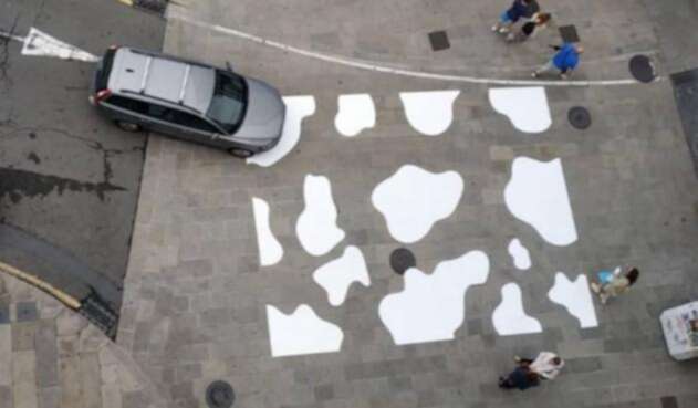 Vaca en lugar de cebra